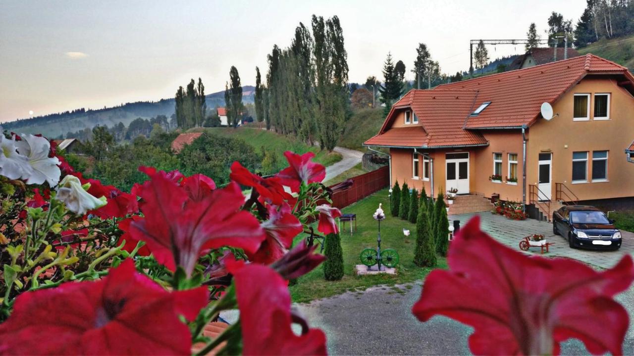 Picnic Panzio Bed & Breakfast Lunca de Sus Exterior photo
